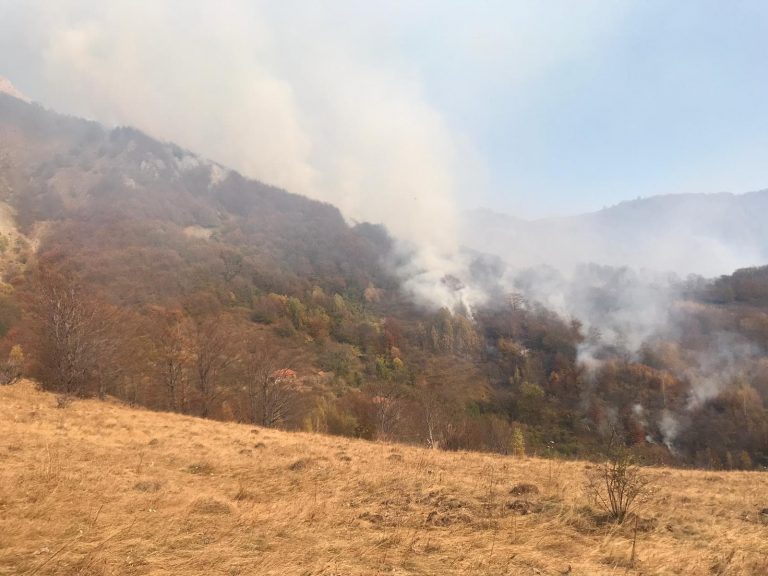 Pădurea de la Cornereva arde de trei zile FOTO