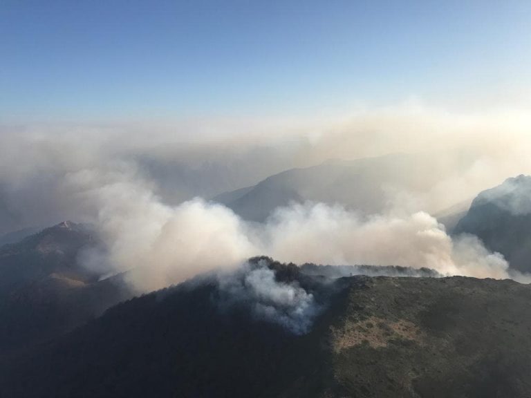 Pădurea din Munții Banatului arde de 3 zile
