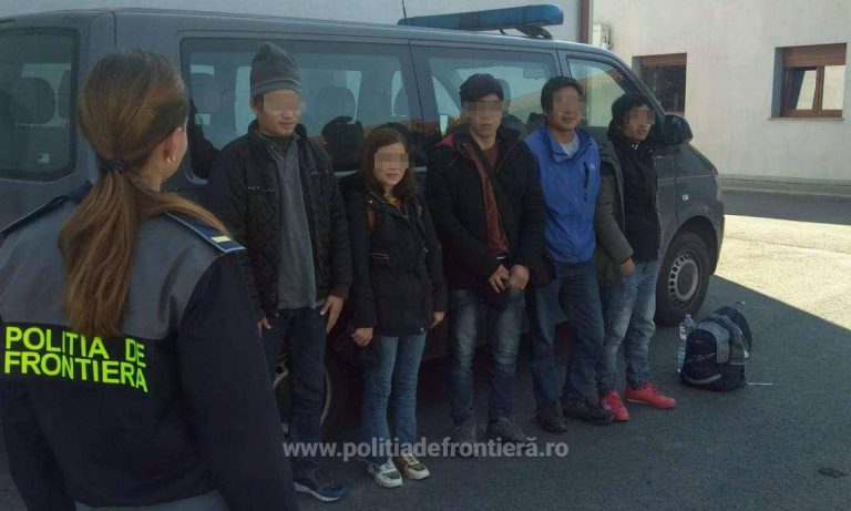 Vin în Timiș cu vize de muncă pentru a fugi în Ungaria. Ultima captură de migranți