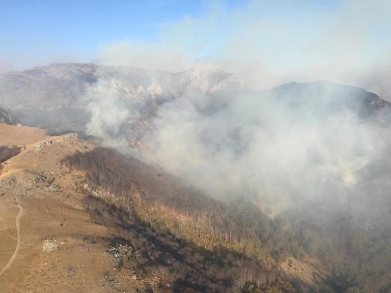 Caraș-Severin | Comitetul pentru situații de urgență, reunit în cazul incendiului de pădure