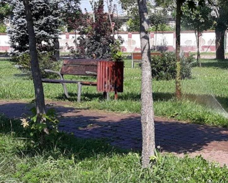 Parcurile din Timișoara, ținta infractorilor. Zeci de sancțiuni date de polițiștii locali
