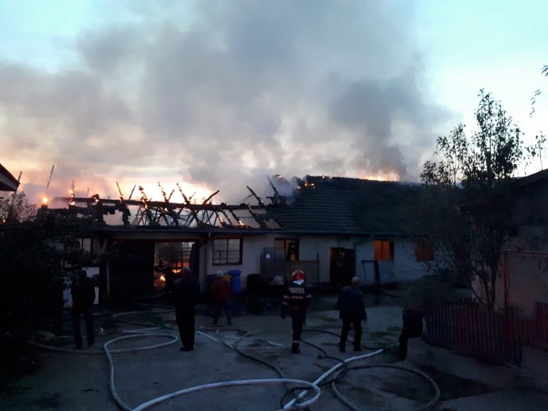 Incendiu puternic la o hală industrială din vestul țării VIDEO
