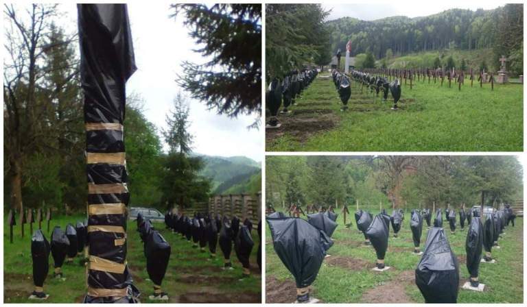 Ministrul maghiar de Externe, la Arad: „Conflictul declanşat la cimitirul de la Valea Uzului trebuie rezolvat pe cale diplomatică”