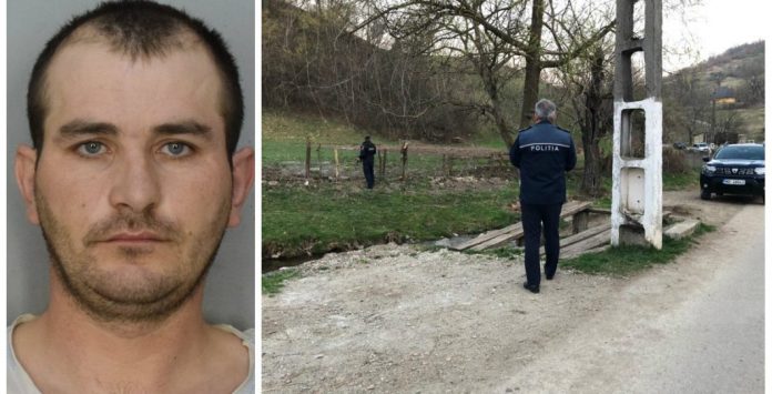 collage-valentin-tamas-1060x540