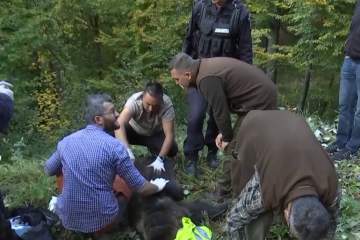 Intervenție chirurgicală în mijlocul pădurii/ VIDEO