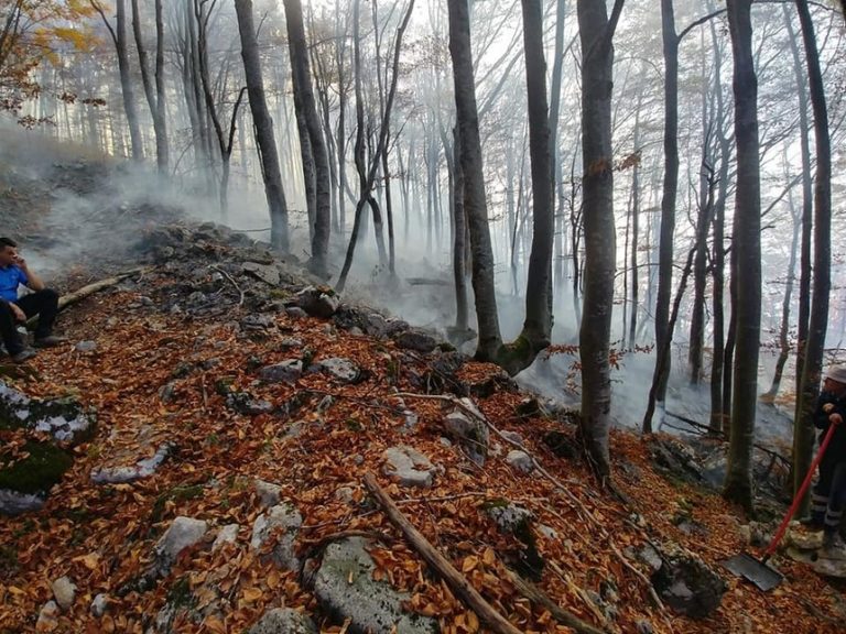Update: Incendiul de pădure din Banatul Montan s-a extins pe 5 hectare