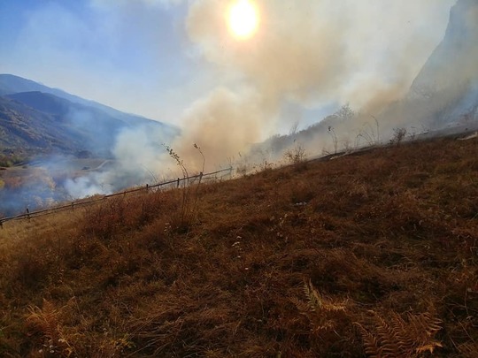 Aproape 35 de hectare de pădure, mistuite de flăcări, în județul Hunedoara