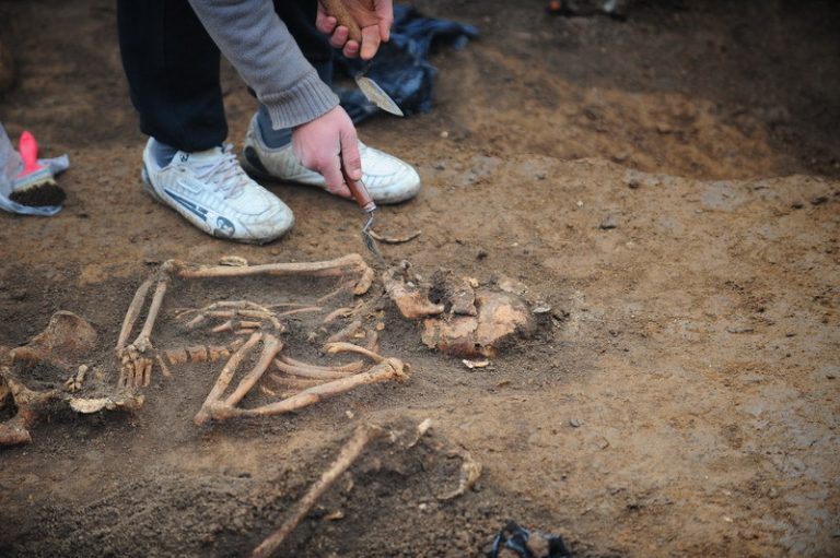 Timișoara | Mai multe schelete umane, vechi de sute de ani, descoperite în centrul urbei