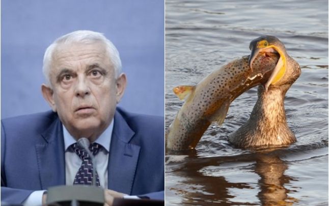 Petre Daea: Să dăm peştele românilor nu să băgăm în guşa cormoranului