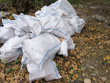 Timișorean, amendat și pus să curețe locul unde a abandonat ilegal deșeuri