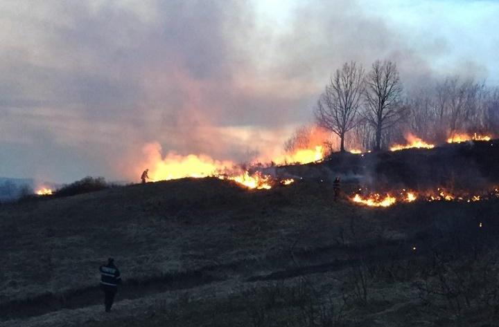 Două incendii de vegetație uscată au afectat hectare întregi, în vestul țării