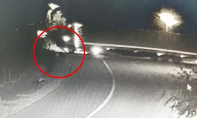 Manevra mortală a unui şofer de TIR. Moartea victimelor a fost filmată / Video