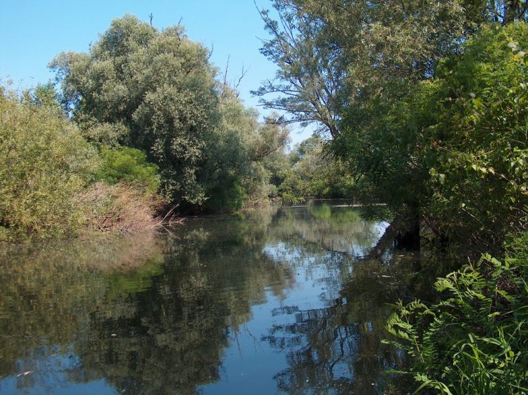 ABA Banat susține că alarma de poluare a râului Nera este neîntemeiată