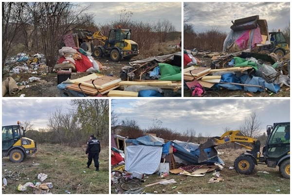 Colibele de la marginea Timișoarei, dărâmate de polițiștii locali