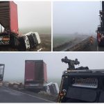 79533295_2597276277024540_661048131743383552_n