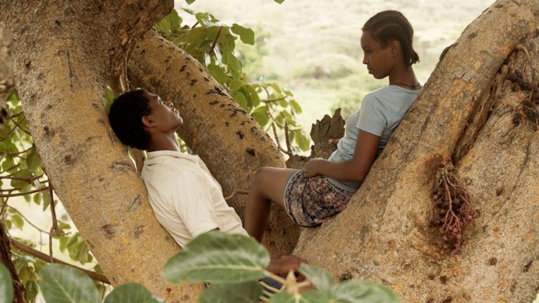 Cinecronica: Fig Tree și adaptarea propriei biografii la memoria colectivă