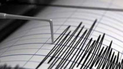 Un cutremur cu magnitudine de 4,5 a avut loc în urmă cu puțin timp