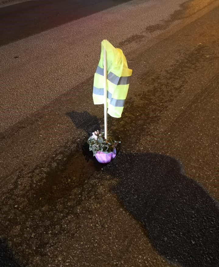 Un șofer a plantat flori într-o groapă de pe DN7. Gestul bărbatului vine după ce și-a spart cauciucul în același crater
