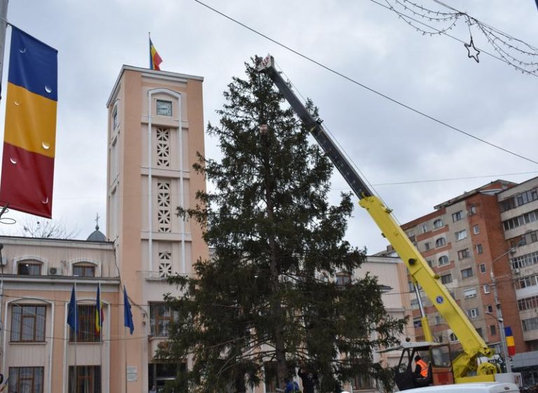Primăria din Bârlad, nevoită să cumpere brad, după ce niciun localnic nu a donat vreun pom de Crăciun potrivit pentru centrul orașului