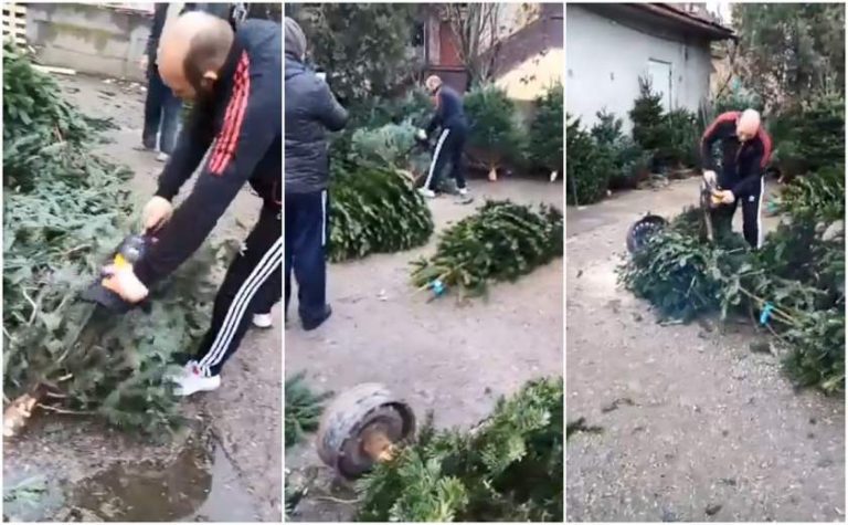 Oameni revoltaţi la Sibiu, după ce un vânzător furios a tăiat cu drujba toţi brazii nevânduţi VIDEO