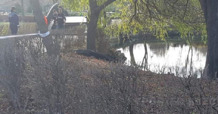 Adolescent, găsit mort. Trupul se află într-o stare avansată de descompunere