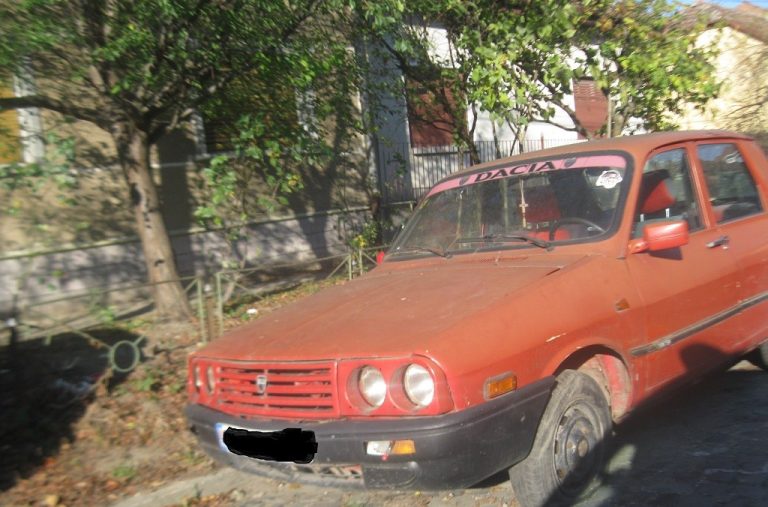 Aproape 1.400 de rable ridicate de pe străzile Timișoarei, în 2019