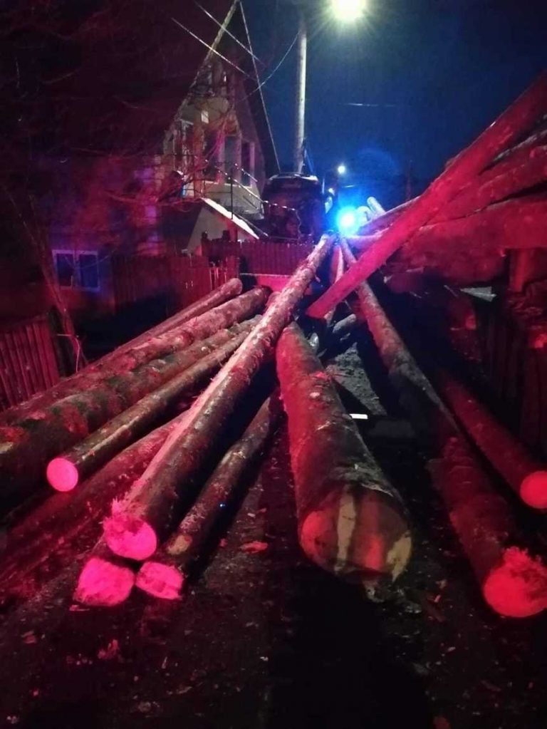 Moarte ca într-un film horror. A murit sub greutatea unor bușteni căzuți pe mașină