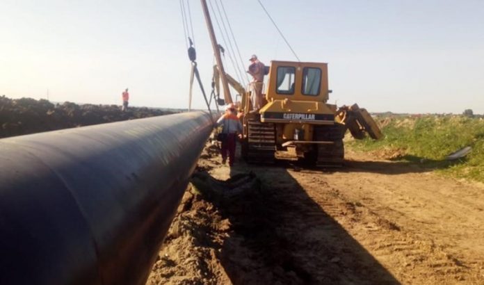 conducta-gaze-brua_0