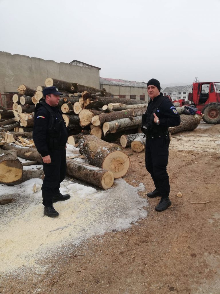Depozitele de lemne din Banatul Montan, verificate de polițiști și jandarmi FOTO