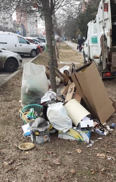 American, amendat pentru abandon de deșeuri, la Timișoara