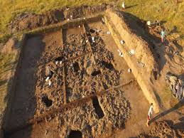 Prinși cu detectorul de metale pe un sit arheologic din Timiș