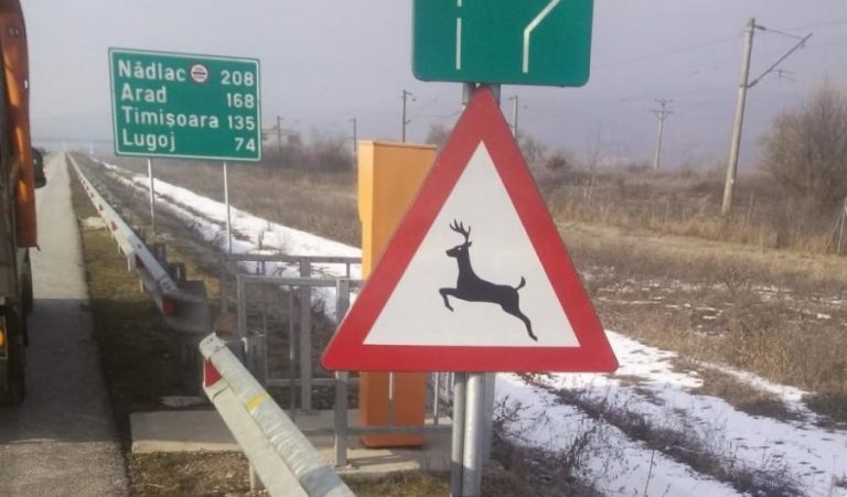 Lotul 3 din Lugoj-Deva, fără garduri de protecție, dar cu restricții de viteză și indicatoare cu „Atenție, animale sălbatice!”