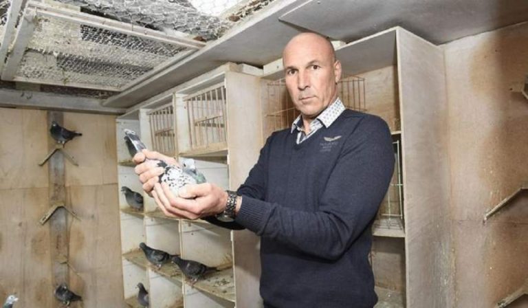 Trei români au furat de la un belgian porumbei în valoare de 700.000 de euro