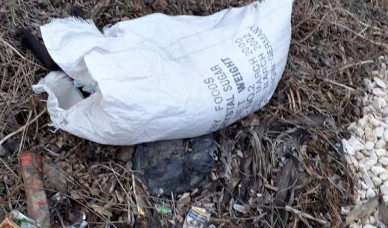 Câine luat în adopție de la o asociație din vestul țării, găsit mort, într-un sac, pe marginea drumului