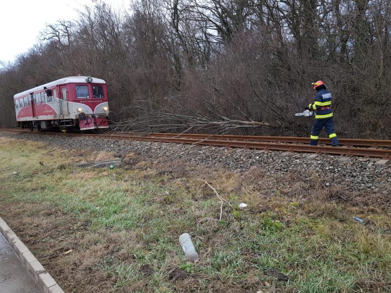 Vântul puternic continuă să facă probleme în vestul țării FOTO