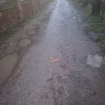 84023708_1228255250897840_6386933780120076288_n