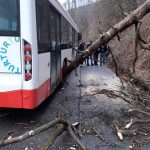 84843082_613130052579178_4478001364588298240_n