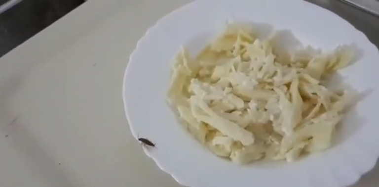 Cină cu… gândaci, servită într-un mare spital din vestul țării! VIDEO