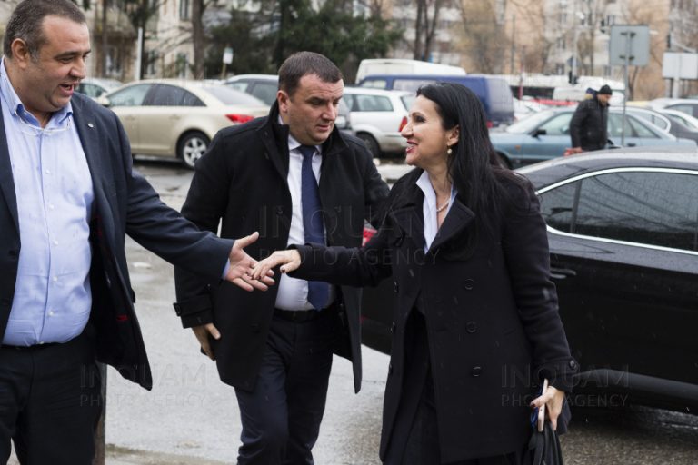 Sorina Pintea, arestată preventiv pentru 30 de zile