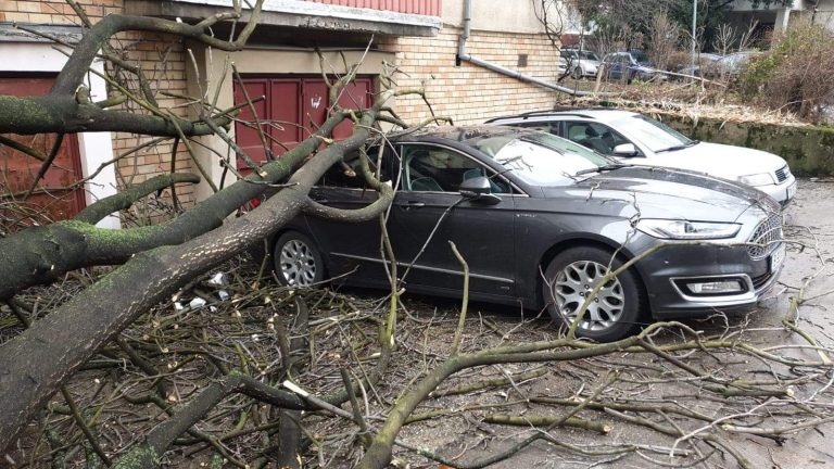 Bilanțul unei nopți severe de iarnă