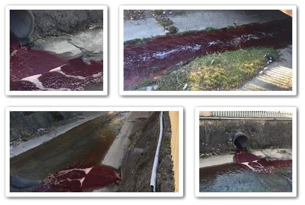 Substanțe toxice pe râurile din Banat