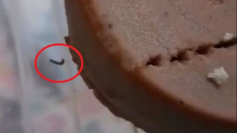 Copii internați printre gândaci și hrăniți cu pateu cu viermi la un spital