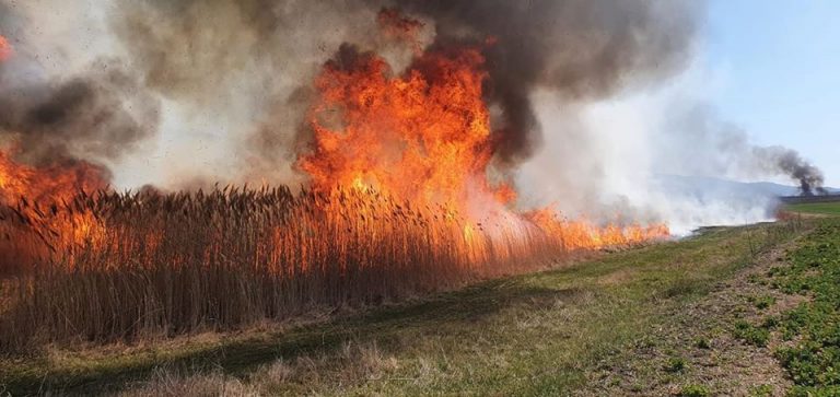 O femeie a murit într-un incendiu de vegetaţie uscată. Un elicopter intervine la un alt incendiu în vestul țării FOTO