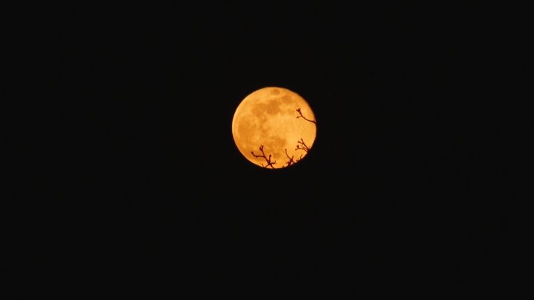 Superluna Roz poate fi văzută în această noapte de cei ceva mai… răbdători FOTO-VIDEO