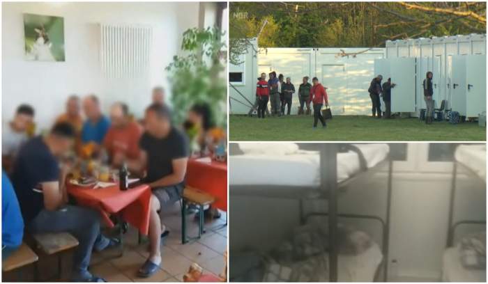 Imagini din ferma de sparanghel din Germania unde muncesc zeci de români care sunt expuși infectării cu coronavirus / VIDEO