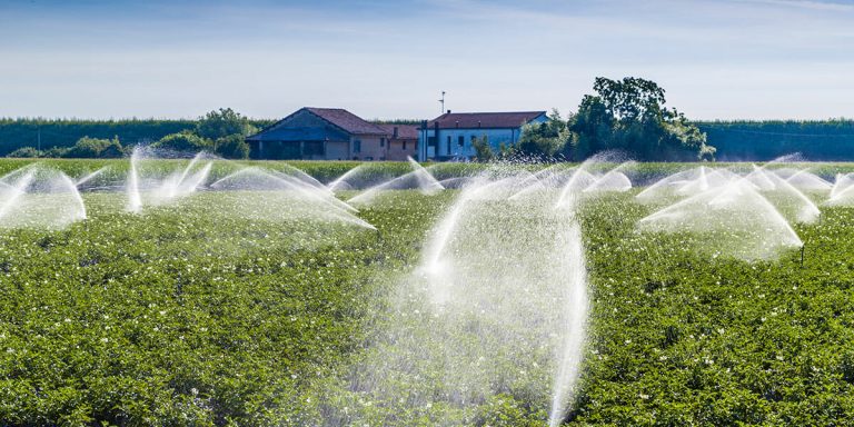 Ministerul Agriculturii oferă apă pentru irigații în mod gratuit