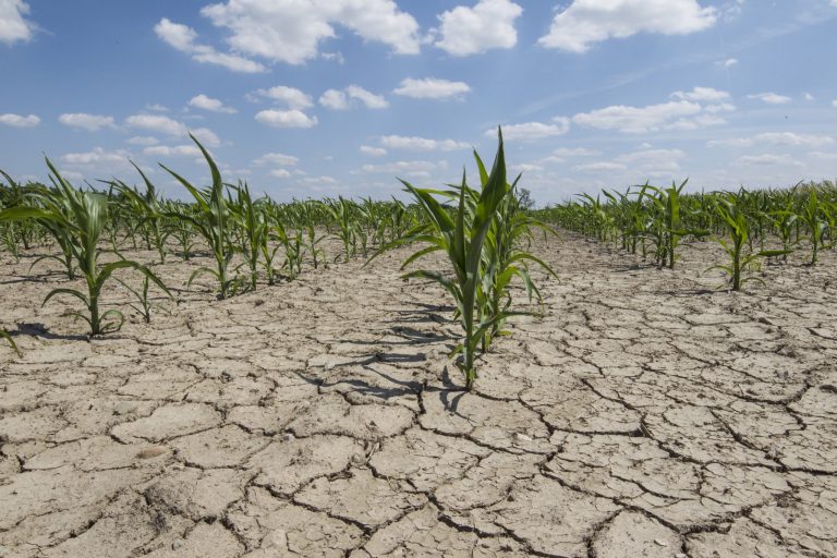 Măsurilor compensatorii pentru agricultorii afectați de mediu și climă