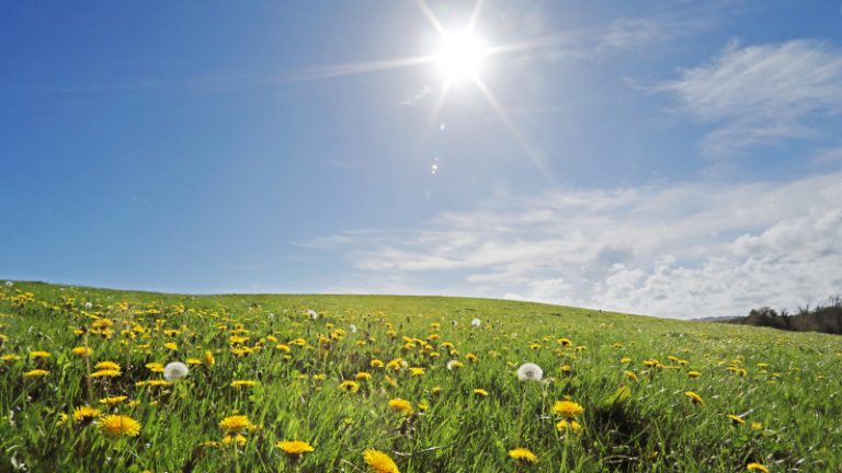 Cum va fi vremea în următoarele două săptămâni