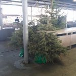 97365297_891022121396538_4615655757914832896_n