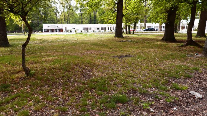 MUZEUL SATULUI-PADUREA VERDE--GRADINA ZOLOGICA PENTRU 1 MAI 2020--29 APRILIE 2020 (11)